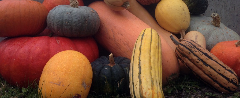 Squash Header