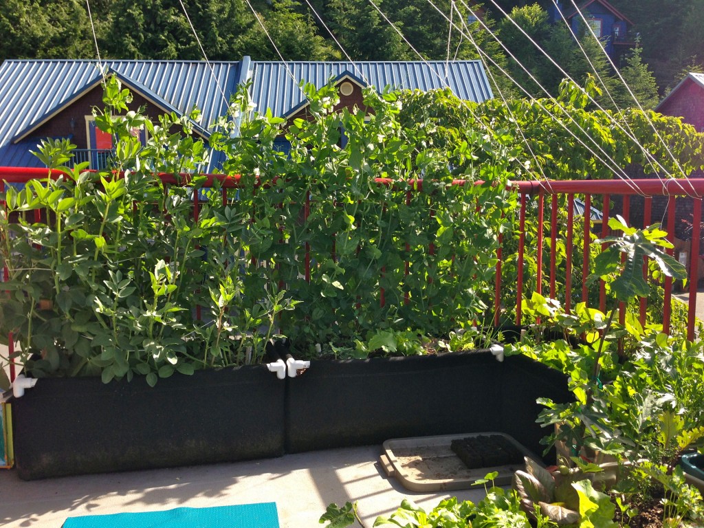 Patio Garden 2