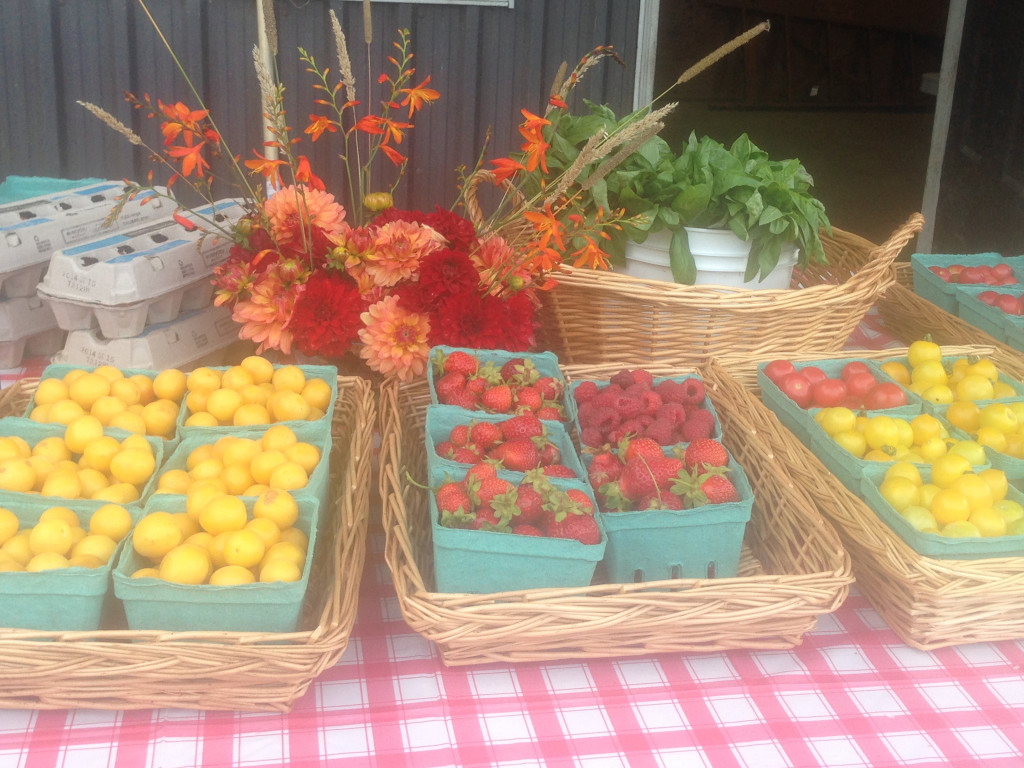 Fresh Produce from one of my market gardens.